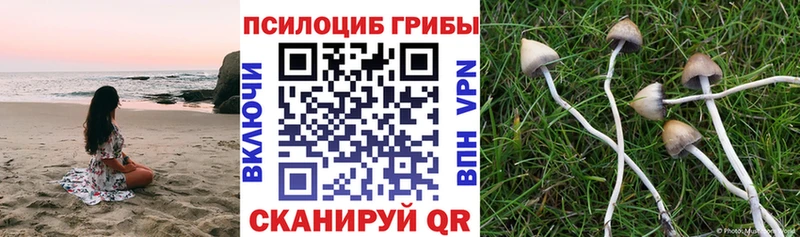 Галлюциногенные грибы прущие грибы  blacksprut маркетплейс  Пучеж  продажа наркотиков 